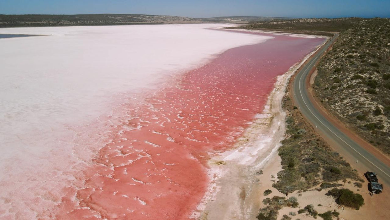 Pink Lake Scenic Flyover Tour