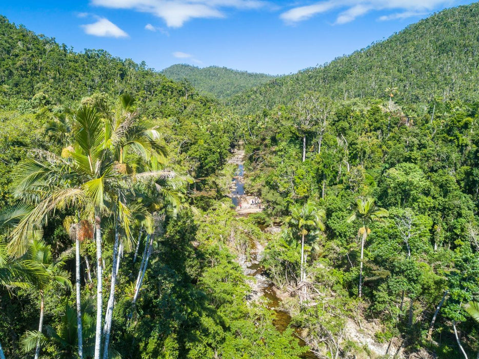 Segway Rainforest Discovery Tour