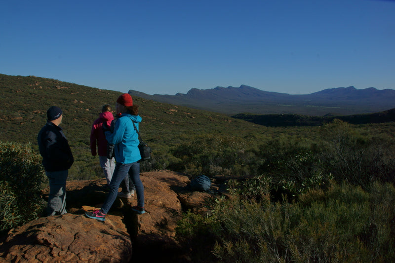 Daybreak Summit Walk