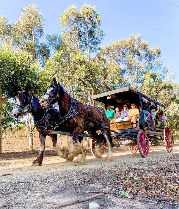 Taste The Valley - Full Day Horse Carriage Wine Tour With Lunch (Minimum 4 People )