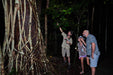 Daintree Rainforest Night Walk Tour