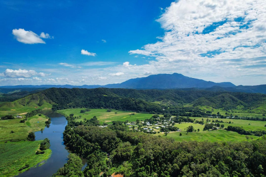 Crocodile Express Daintree Rainforest & Wildlife Cruise From Daintree Ferry Gateway