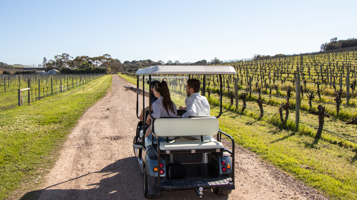 Vineyard Sustainability Tour & Tasting Experience