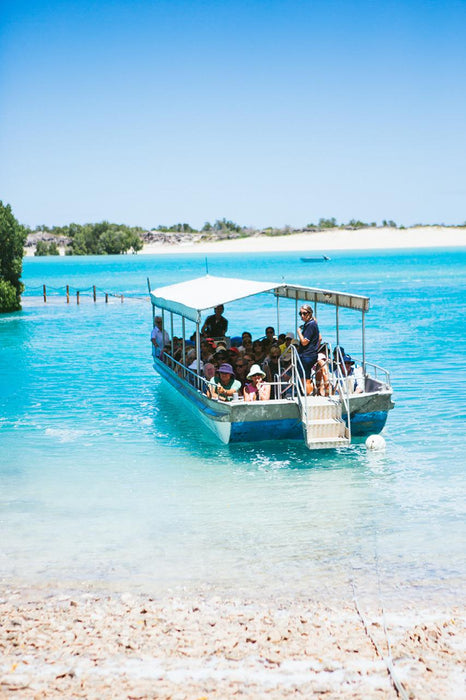 Willie Creek Pearl Farm Tour - Catch Our Coach