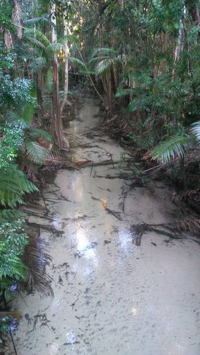 Fraser Island Exclusive 4Wd Day Tour