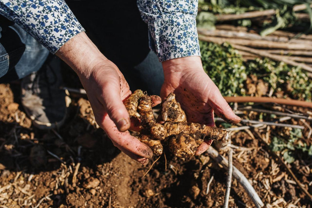 Six Senses Penobscot Farm Tour And Six Course Degustation Dinner