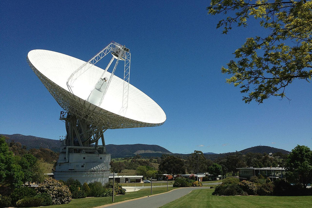 Best Of Wildlife And Birds Tour - Canberra