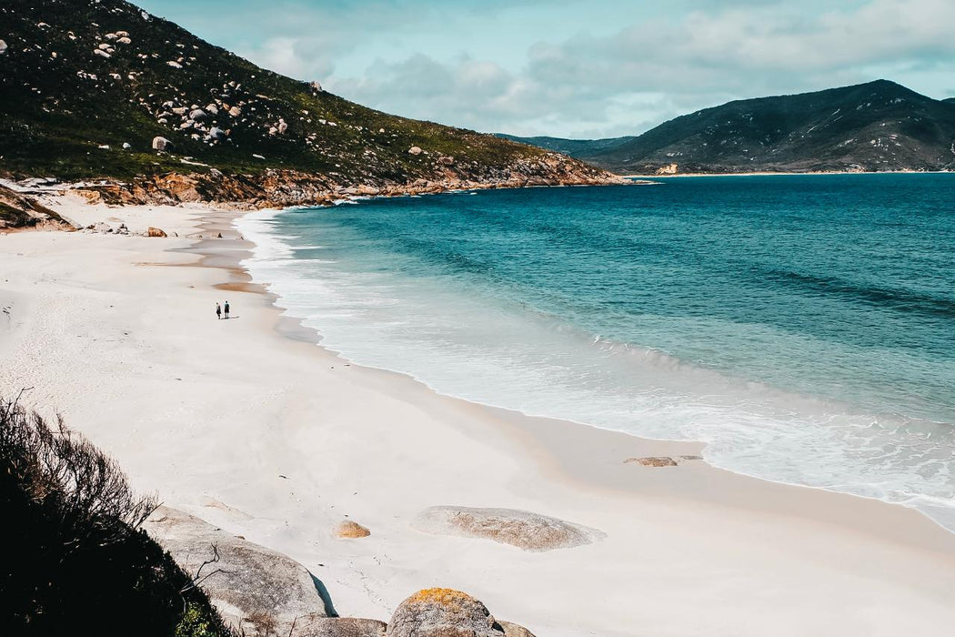 Experience Wilsons Promontory On A Full Day Tour