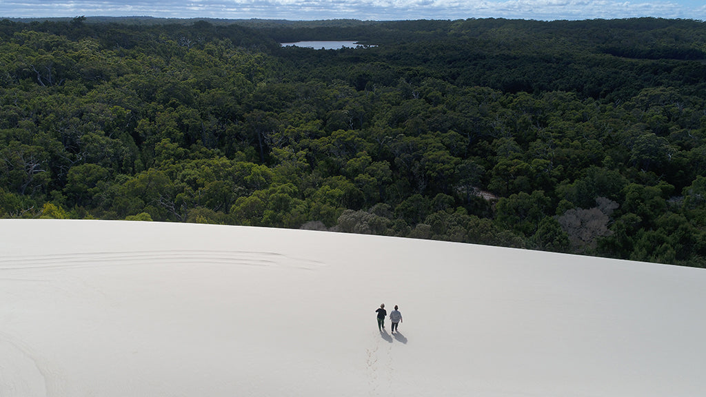 Beach & Forest Eco Adventure