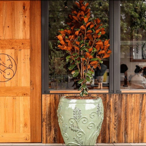 A Signature Refined Dining Experience At Two Blind Mice - We Wander