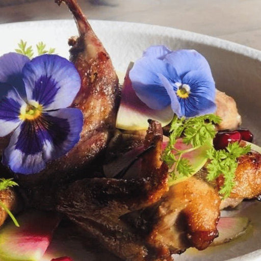 A Signature Tapas & Wine Dining Experience At Casablabla Multicultural Tapas Lounge Bar - We Wander