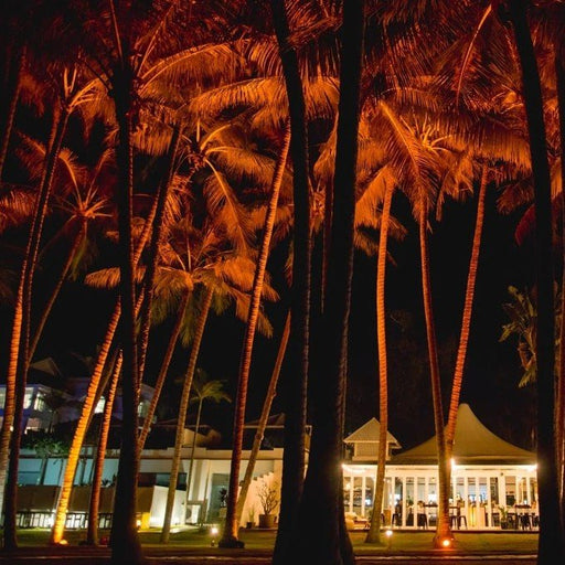 A Tropical Dining Experience At Nunu - We Wander