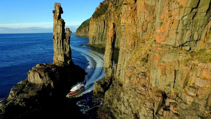 Bruny Island Cruises 3 Hour Wilderness Cruise