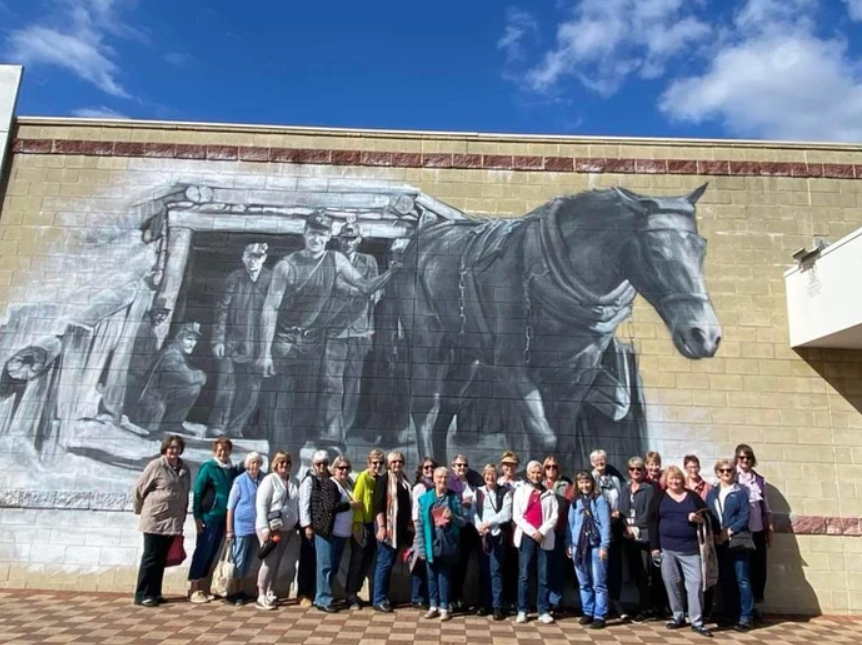 Collie Town Mural Tour Half Day