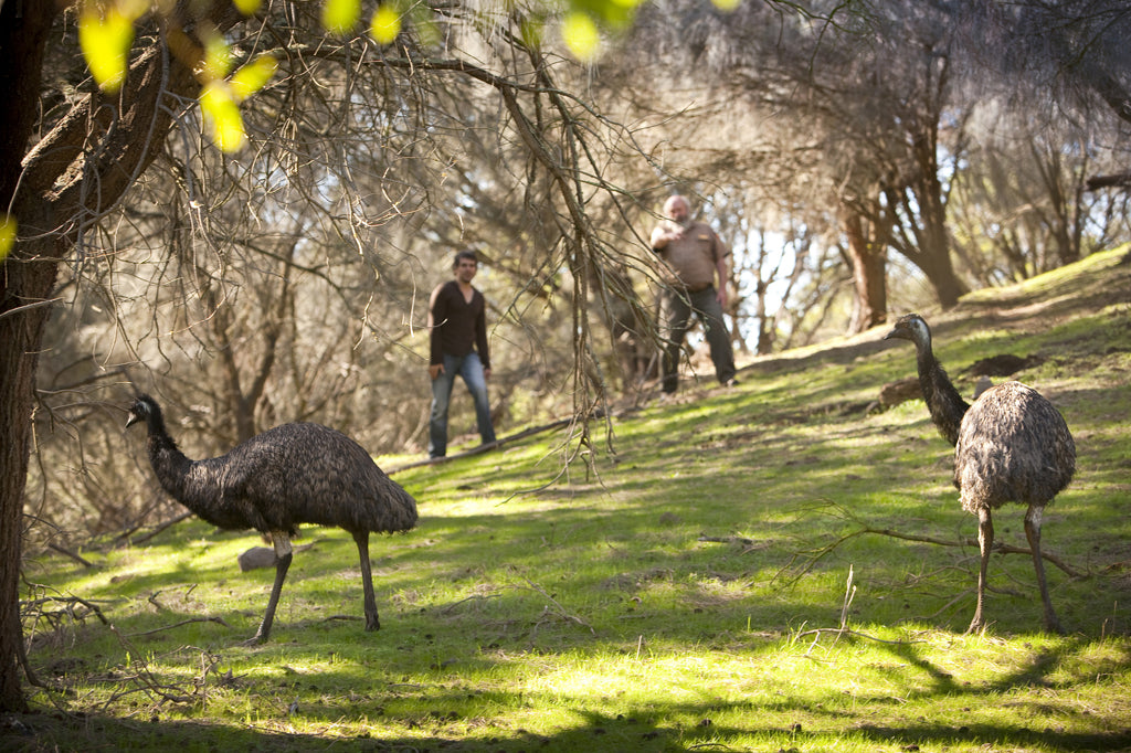 3-Day Adelaide To Melbourne Tour