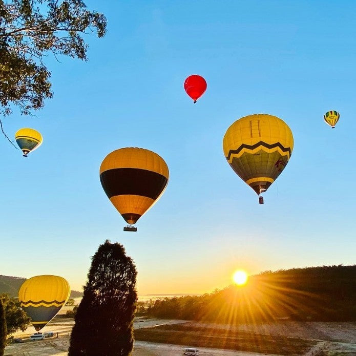 Byron Bay Sunrise Balloon Flight For Two