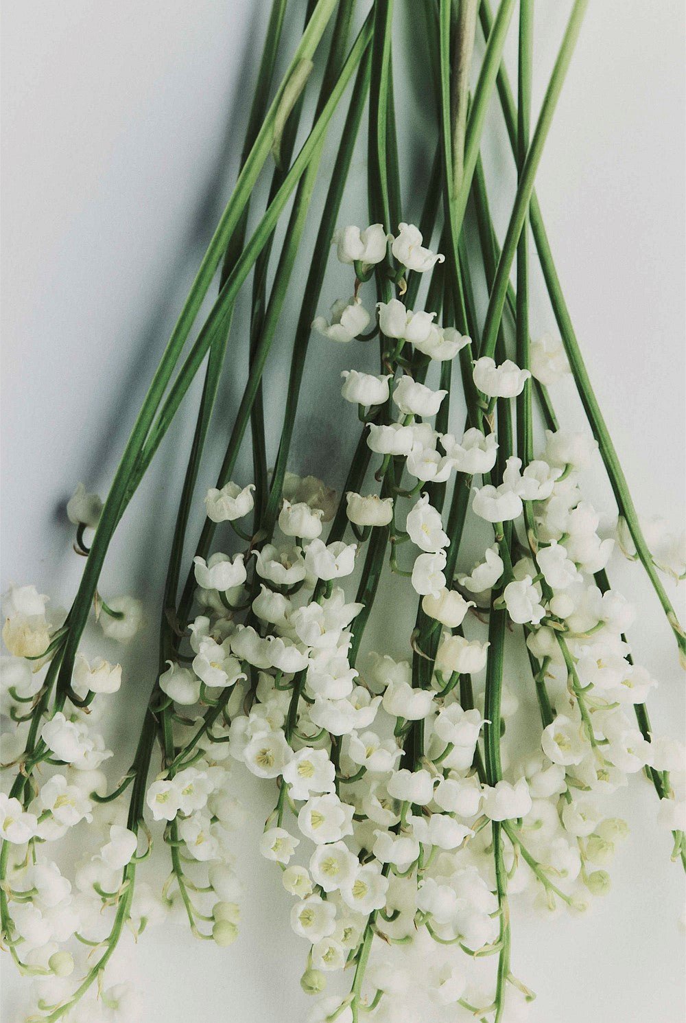 Australian Made 1974 Hand Care Set - We Wander