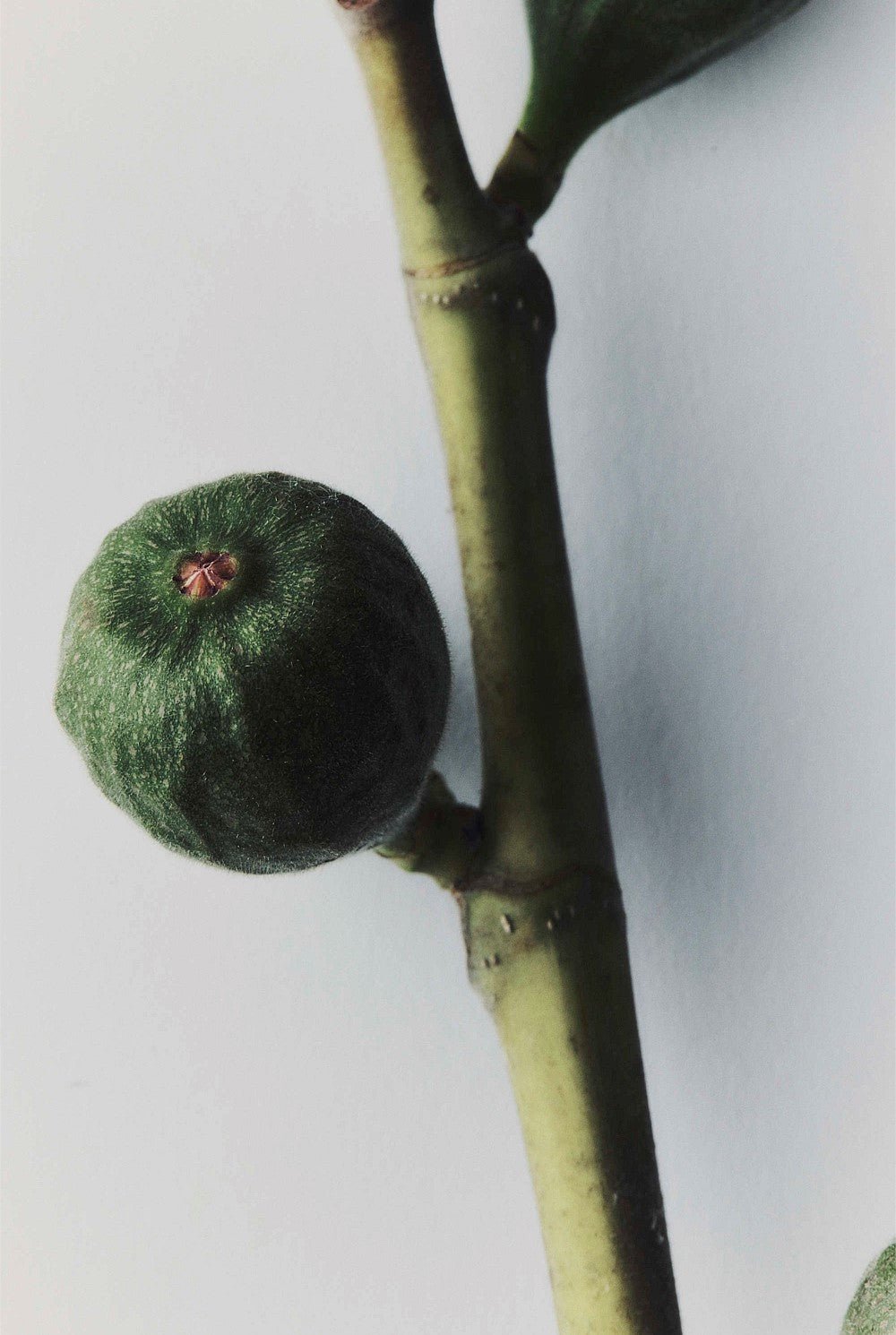 Australian Made 1974 Hand Care Set - We Wander