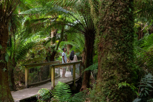 Autopia Tours: Great Ocean Road To Grampians 2 Day - We Wander