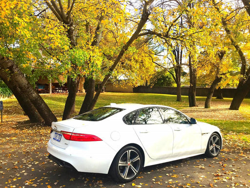 Barossa Uncut: Luxury Jaguar Experience, 3.5 Hours - We Wander