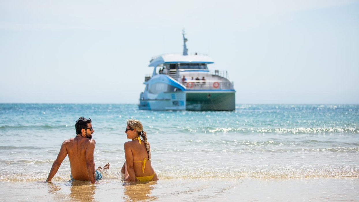 Dolphin & Tangalooma Wrecks Cruise