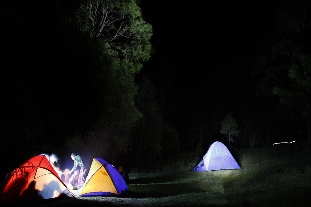 Blue Mountains Into The Wild Overnight Camping 4Wd Off Road Wilderness Adventure + River Cruise. - We Wander