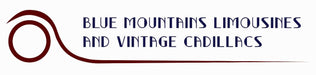 Blue Mountains Vintage Cadillac High Tea Private Tour. 3 Hour Experience. Includes High Tea At The M - We Wander