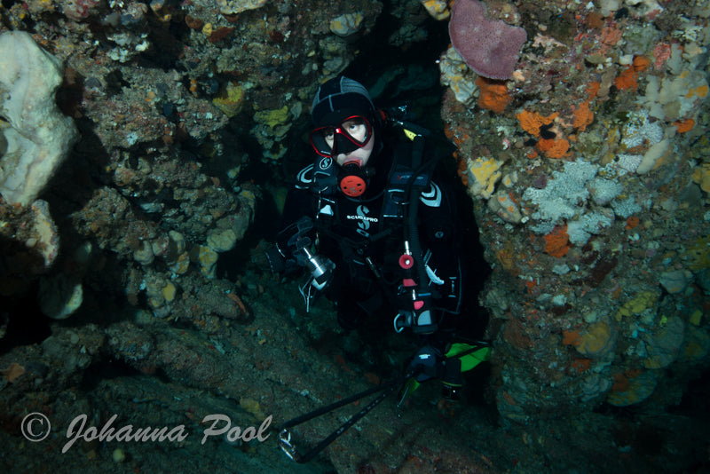 Rottnest Island (Wadjemup) Dive Or Snorkel