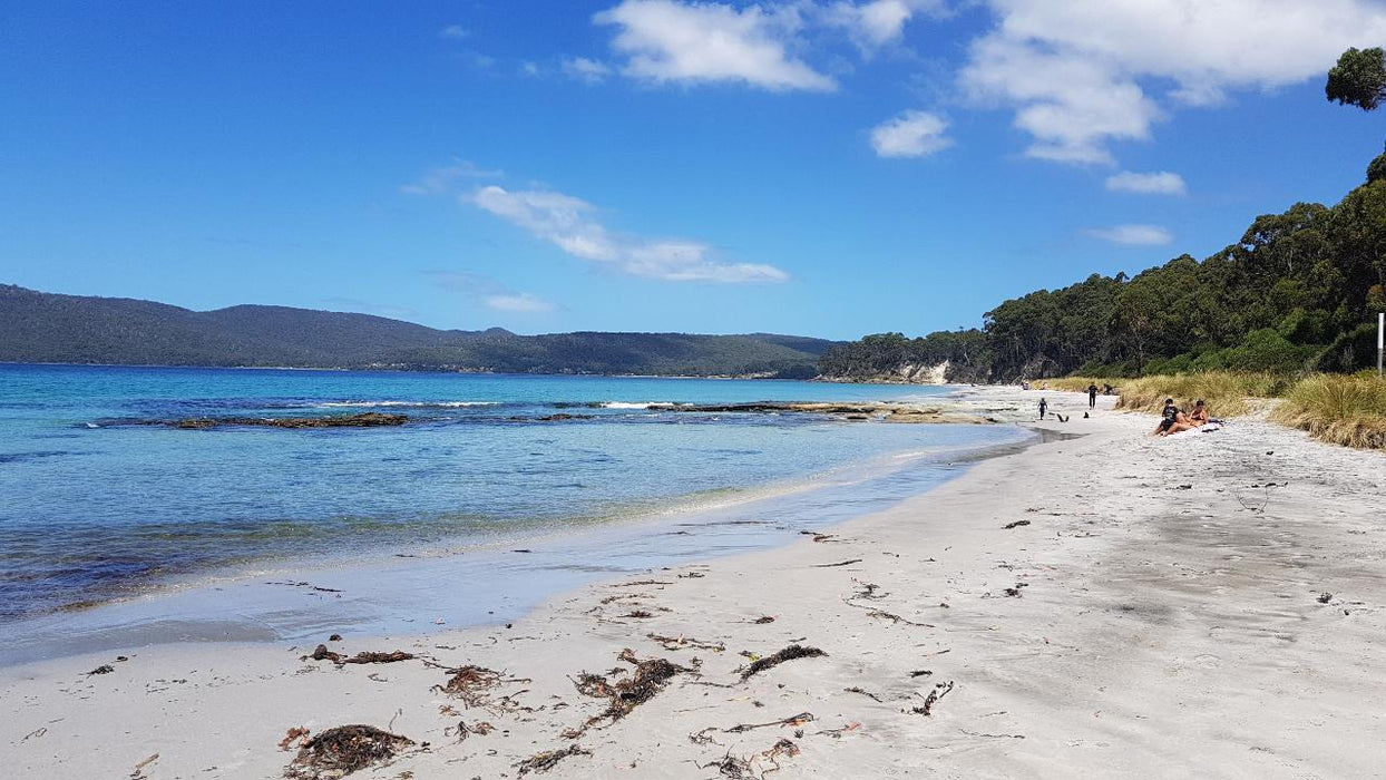 Bruny Island Day Tour - We Wander