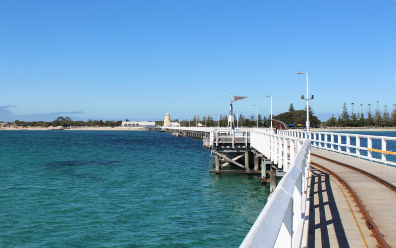 Busselton Jetty, Train Ride & Dolphin Discovery