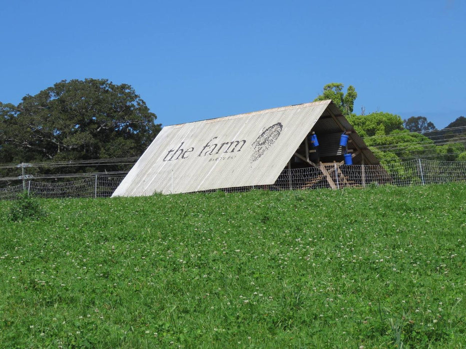 Byron Bay Tour - We Wander