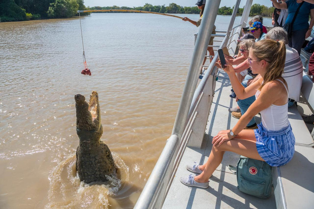 Autopia Tours: Litchfield National Park + Croc Cruise From Darwin