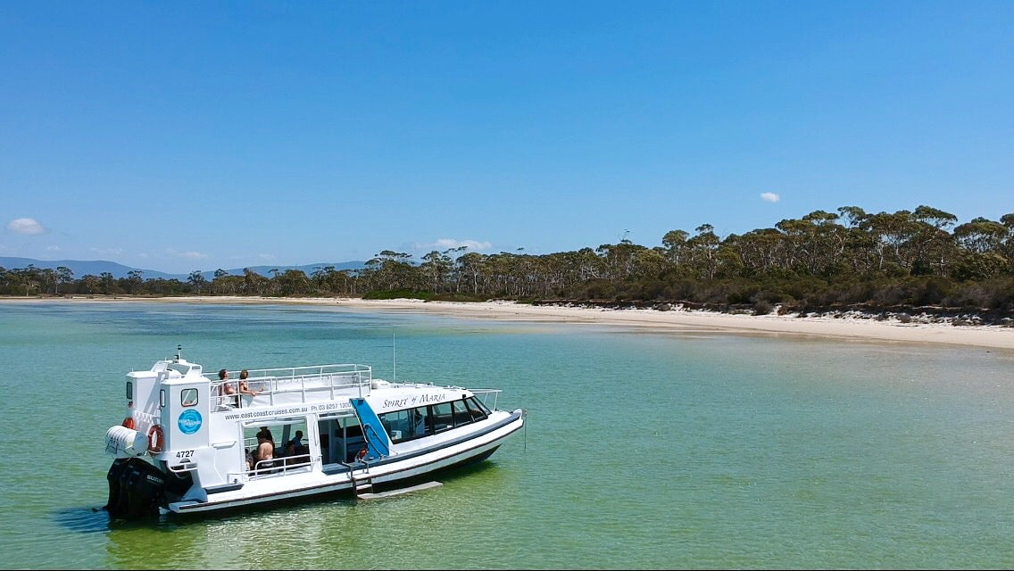 Ile Des Phoques / Maria Island Tour + Hobart Shuttle Bus