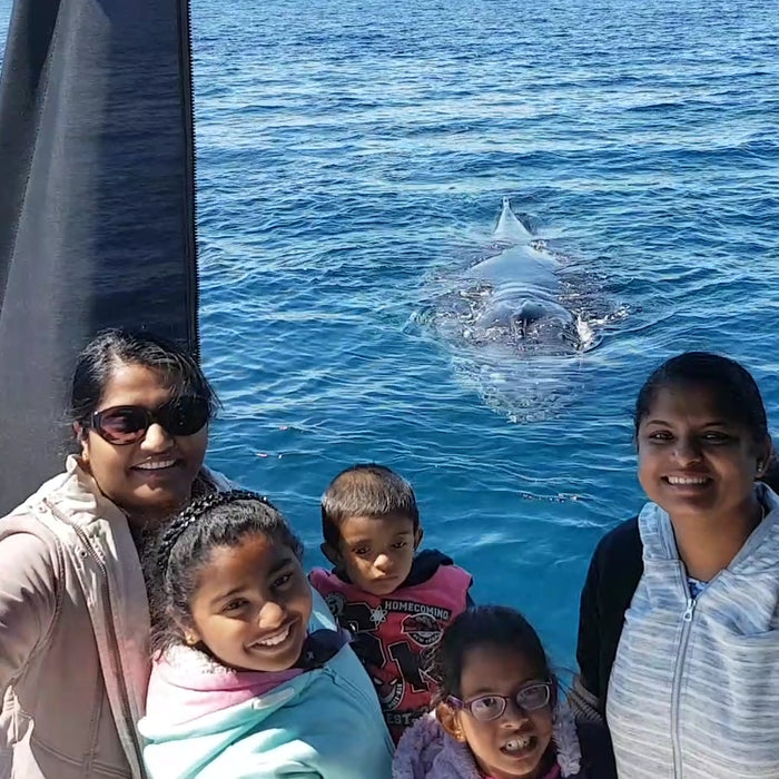 Dunsborough Whale Watching