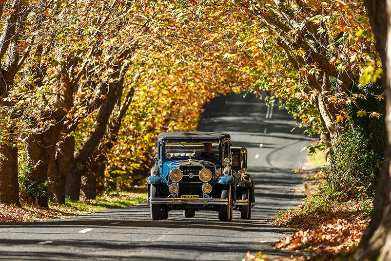 Blue Mountains Vintage Cadillac High Tea Private Tour. 3 Hour Experience. Includes High Tea At The M