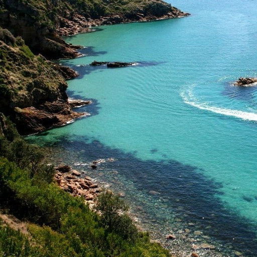 Cape Cruise - Family - We Wander