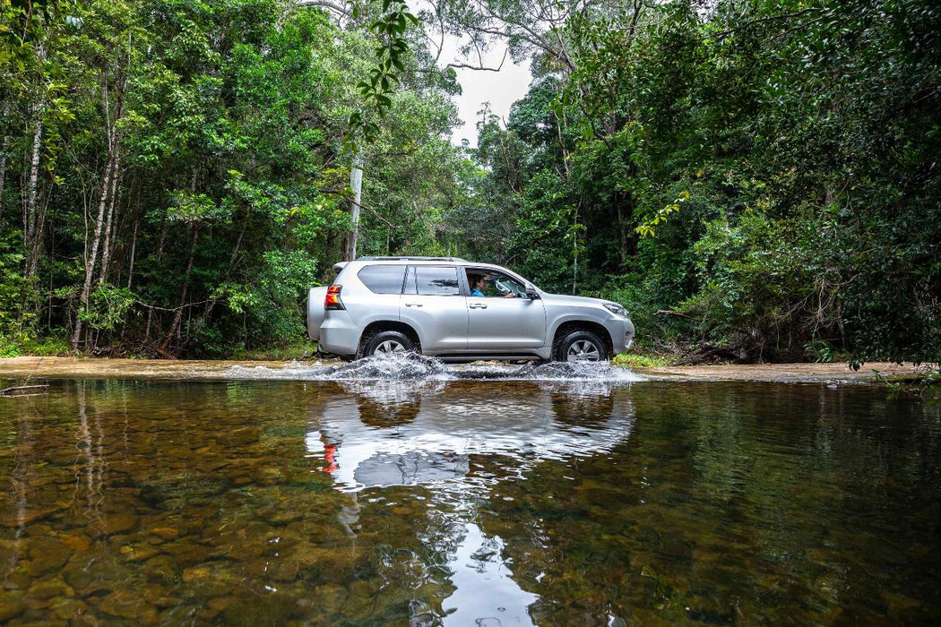 Half Day 4Wd Daintree Tour