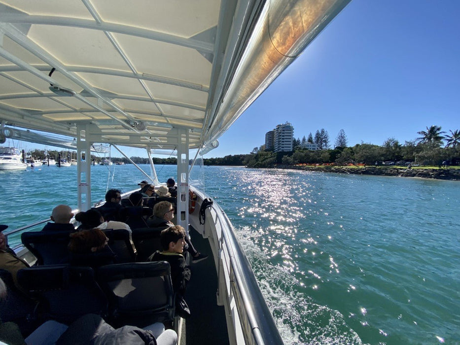 Coastal Express 2Hr Mooloolaba Whale Watching Experience - We Wander