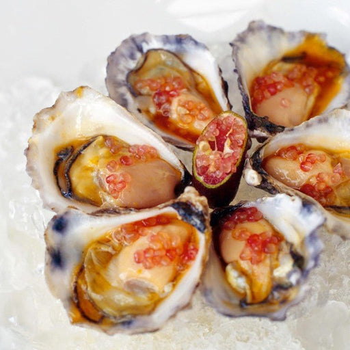 Coastal Fine Wine & Dine At Fins Restaurant - We Wander