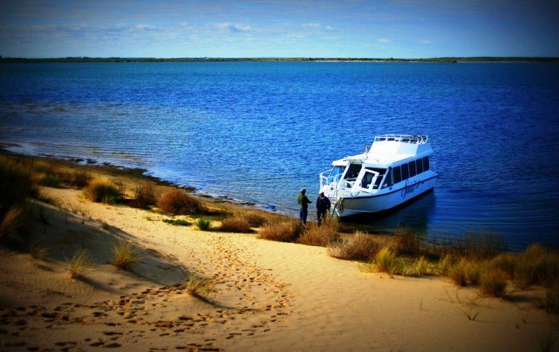 Coorong Adventure 6 Hour Cruise - We Wander