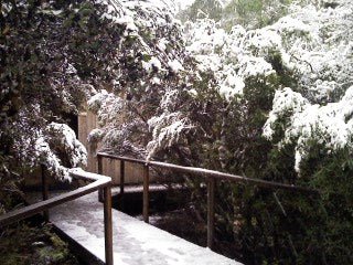 Cradle Mountain Day Tour - We Wander