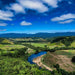 Crocodile Express Daintree Rainforest & Wildlife Cruise From Daintree Ferry Gateway - We Wander