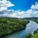 Crocodile Express Daintree Rainforest & Wildlife Cruise From Daintree Ferry Gateway - We Wander