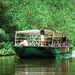 Crocodile Express Daintree Rainforest & Wildlife Cruise From Daintree Ferry Gateway - We Wander