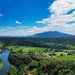 Crocodile Express Daintree Rainforest & Wildlife Cruise From Daintree Ferry Gateway - We Wander