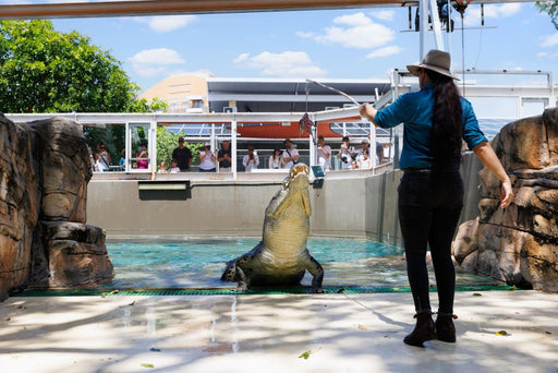 Crocosaurus Cove Entry - We Wander