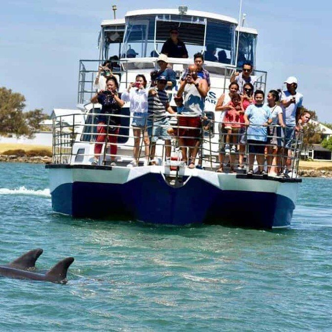 Dolphin Cruise & Views Tour For Four