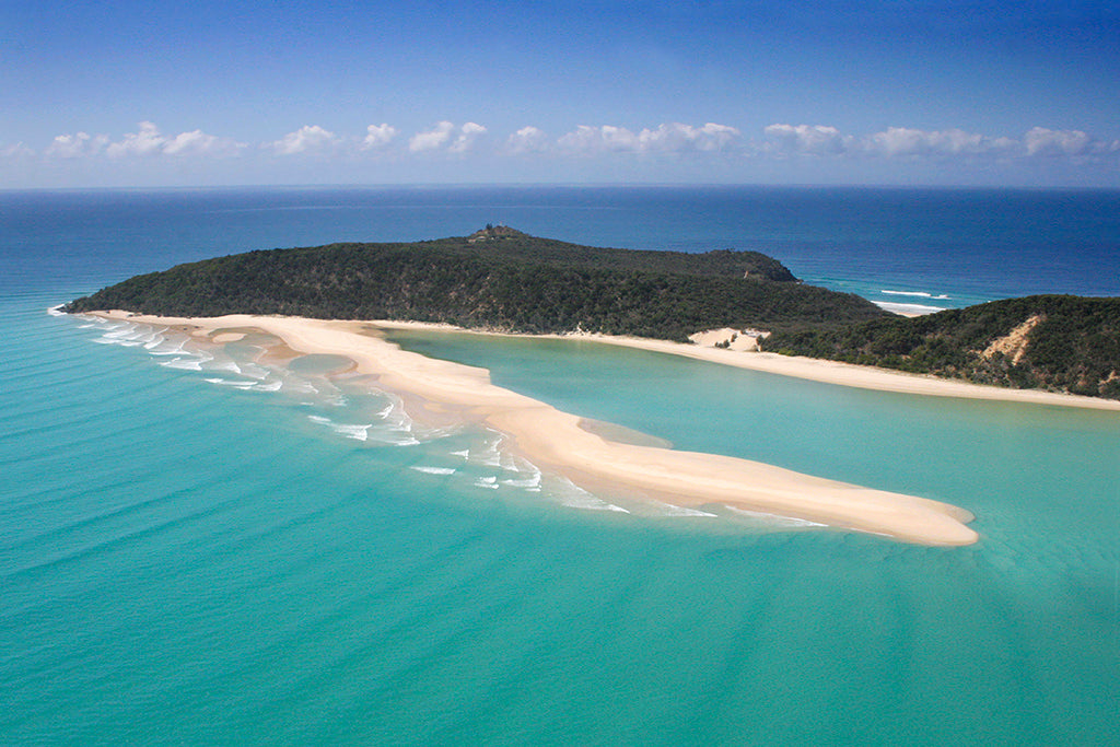 Stand Up Paddle Wildlife Tour & Beach 4X4 Day Trip- Noosa