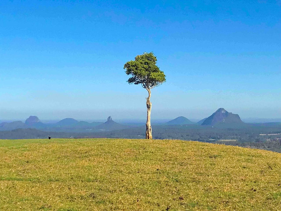 Maleny And Montville Tour With Artisan Village And Wine Tasting - Luxury Private Tour