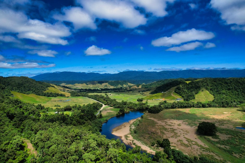 Crocodile Express Daintree Rainforest & Wildlife Cruise From Daintree Ferry Gateway